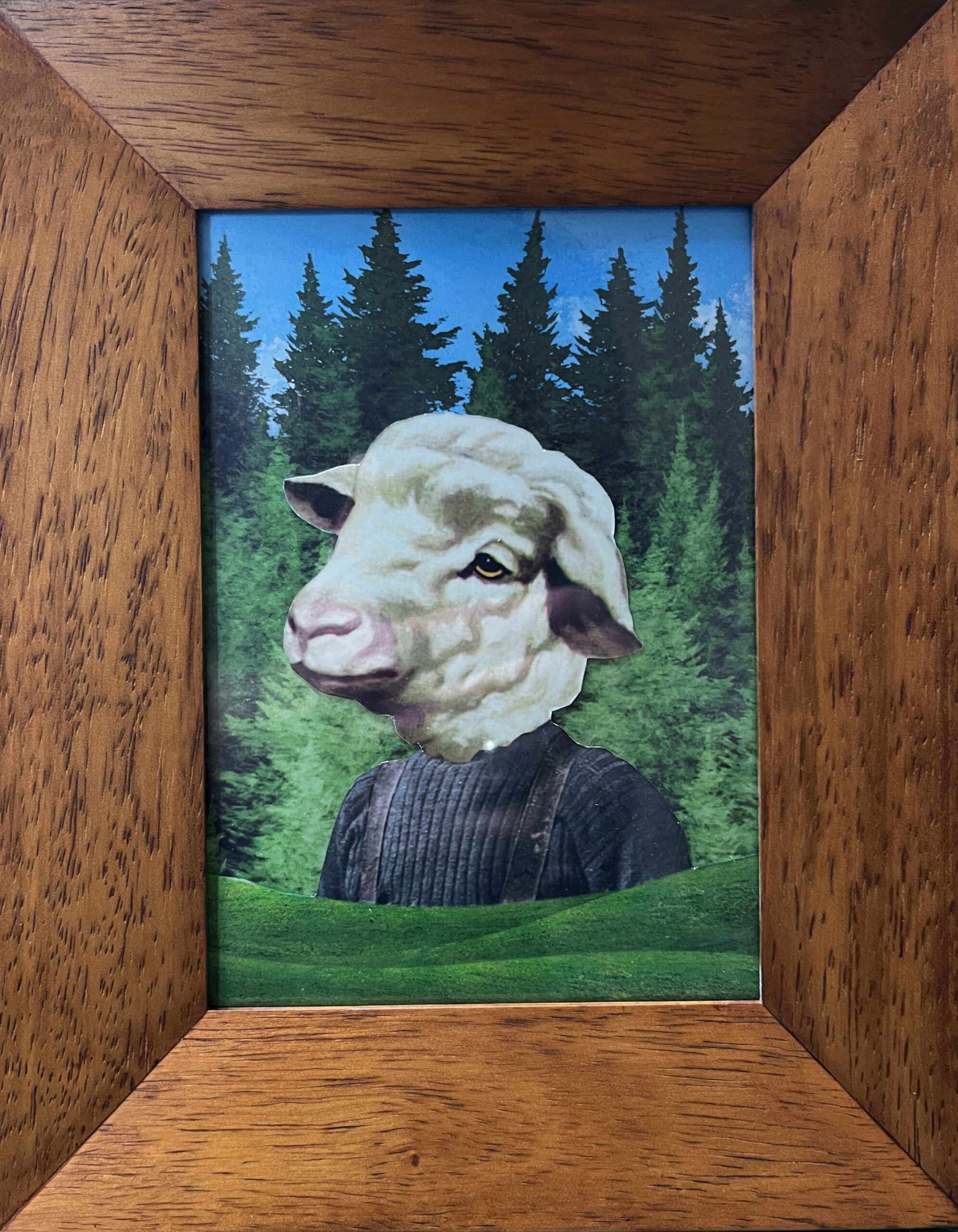 Stop 100% subsidy - Save the sheep
